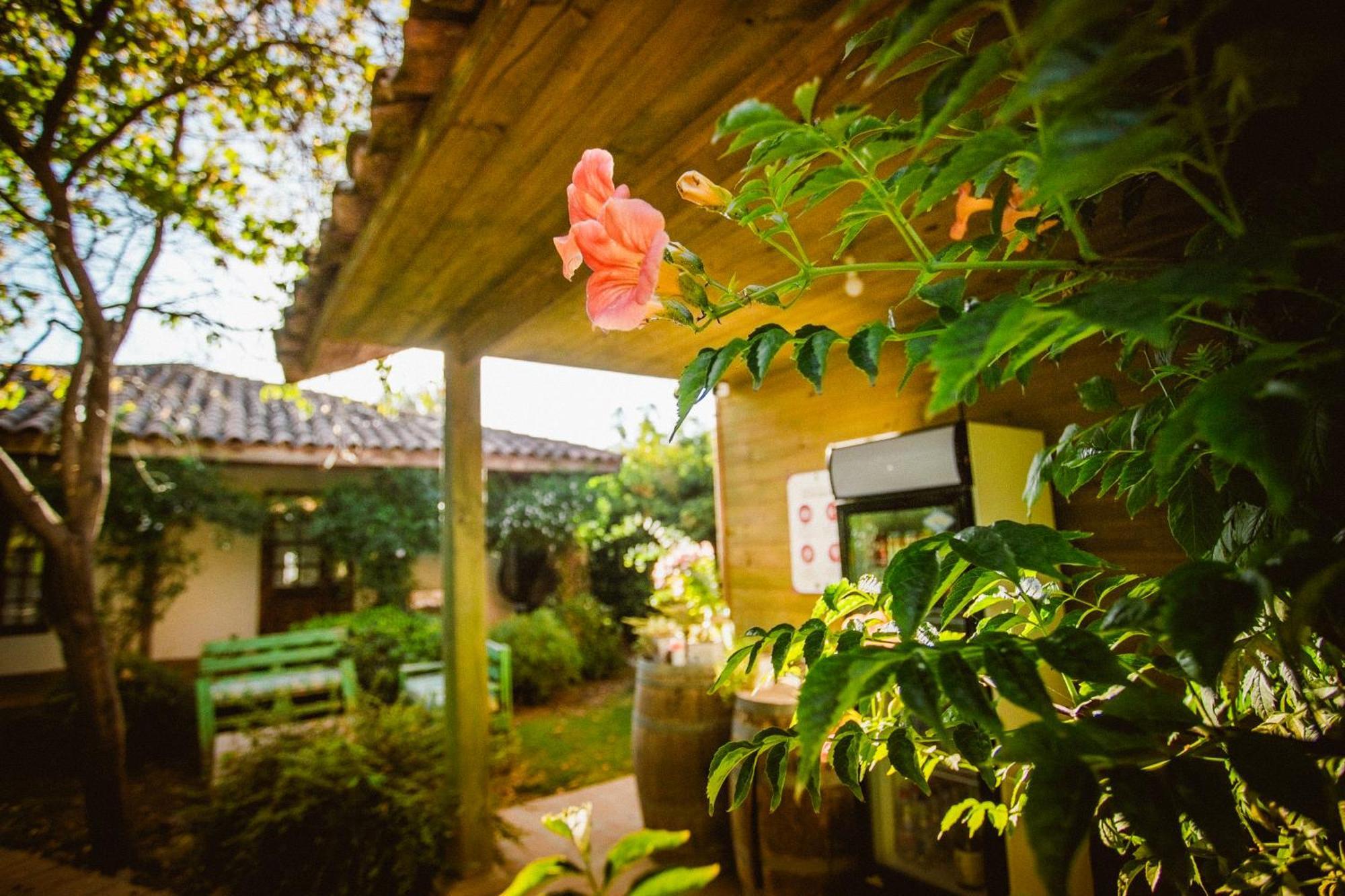 Hotel Hoja De Parra Santa Cruz Exterior photo